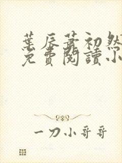 叶辰萧初然全文免费阅读小说