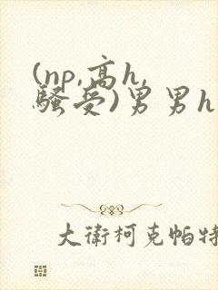 (np,高h,骚受)男男h