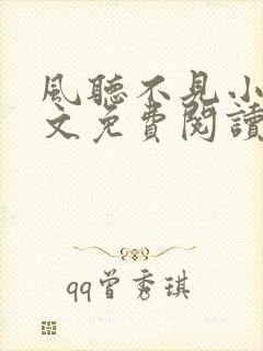 风听不见小说全文免费阅读最新章节封面