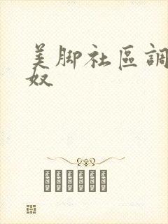 美脚社区调教女奴封面