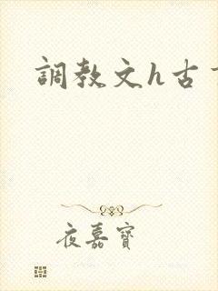 调教文h古言封面