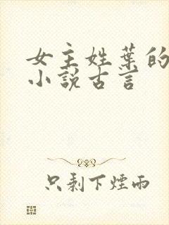 女主姓叶的穿越小说古言