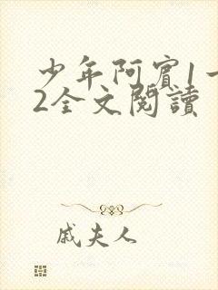 少年阿宾1一72全文阅读