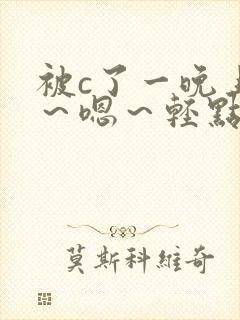 被c了一晚上啊～嗯～轻点h小说