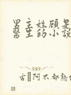 男主姓顾是外科医生的小说封面