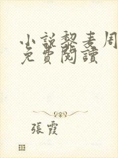 小说黎麦周颂言免费阅读