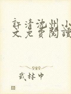 许清沈州小说全文免费阅读