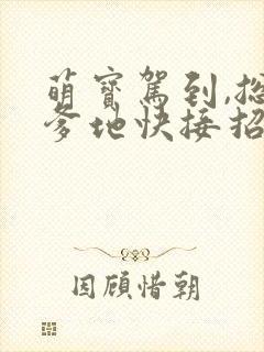 萌宝驾到,总裁爹地快接招