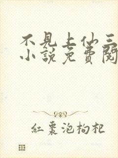 不见上仙三百年小说免费阅读下载