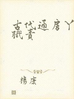 古代通房丫鬟的职责封面