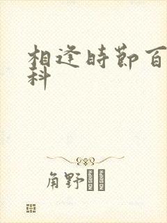 相逢时节百度百科封面