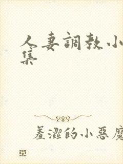 人妻调教小说合集