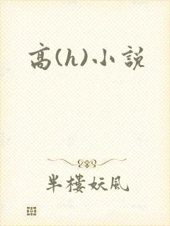 高(h)小说封面
