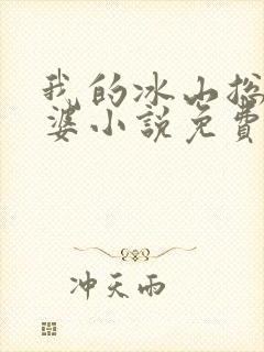 我的冰山总裁老婆小说免费