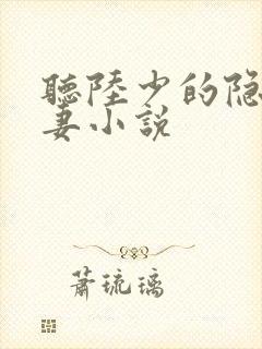 听陆少的隐婚罪妻小说