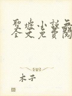 圣墟小说无弹窗全文免费阅读封面