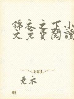 锦衣之下小说全文免费阅读无弹窗