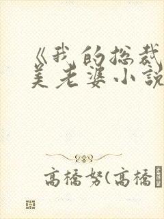 《我的总裁白富美老婆小说》