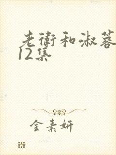 老卫和淑蓉7—12集