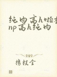 纯肉高h啪校园np高h纯肉
