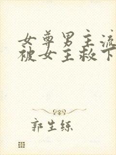 女尊男主流过产被女主救下的小说