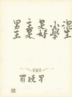 男主是小混混女主是好学生的小说