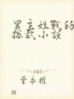 男主姓战的霸道总裁小说