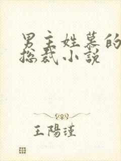 男主姓慕的所有总裁小说封面