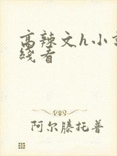 高辣文h小说在线看