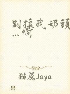 别揉我奶头…嗯…啊