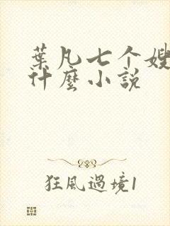 叶凡七个嫂子是什么小说