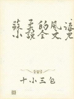 苏柔的风流人生小说全文免费