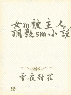 女m被主人虐玩调教sm小说