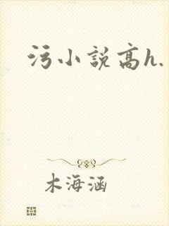 污小说高h.