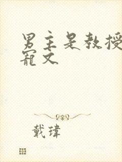 男主是教授的甜宠文