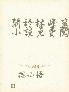 关于林峰宁欣的小说免费阅读封面