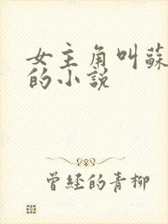 女主角叫苏清欢的小说