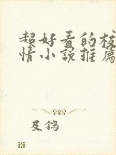 超好看的校园言情小说推荐