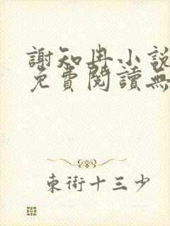 谢知冉小说全文免费阅读无弹窗