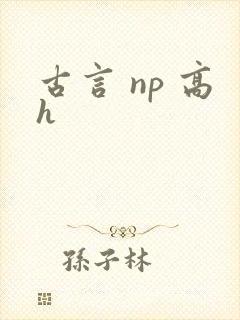 古言 np 高h