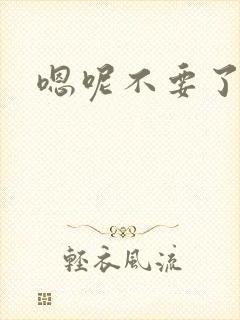 嗯呢不要了h封面