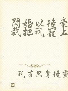 闪婚以后豪门总裁把我宠上天