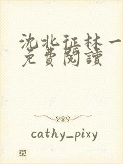 沈北征林一全文免费阅读