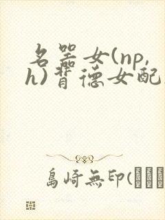 名器女(np,h)背德女配h封面