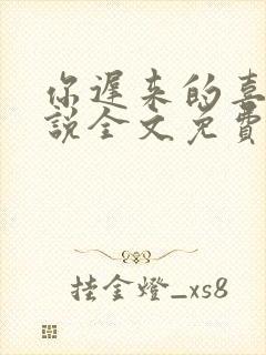 你迟来的喜欢小说全文免费阅读封面