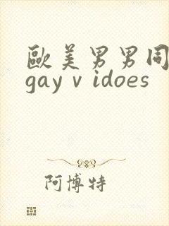 欧美男男同性恋gayⅴidoes