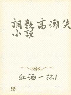 调教高潮失禁h小说