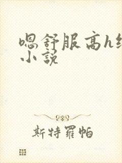 嗯舒服高h纯肉小说