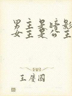 男主是暗影侍卫女主是公主