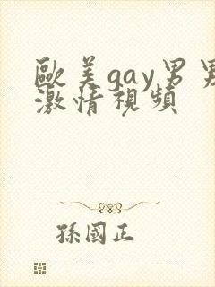 欧美gay男男激情视频